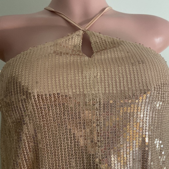 Lumiere Champagne Sequence Sleeveless Neck Tie Top Size Small - Picture 3 of 7